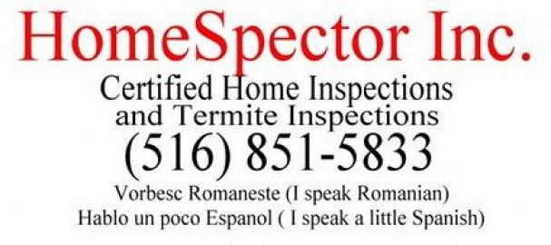 Visit HomeSpector Inc. - Long Island, Queens & NYC Professional Home Inspections