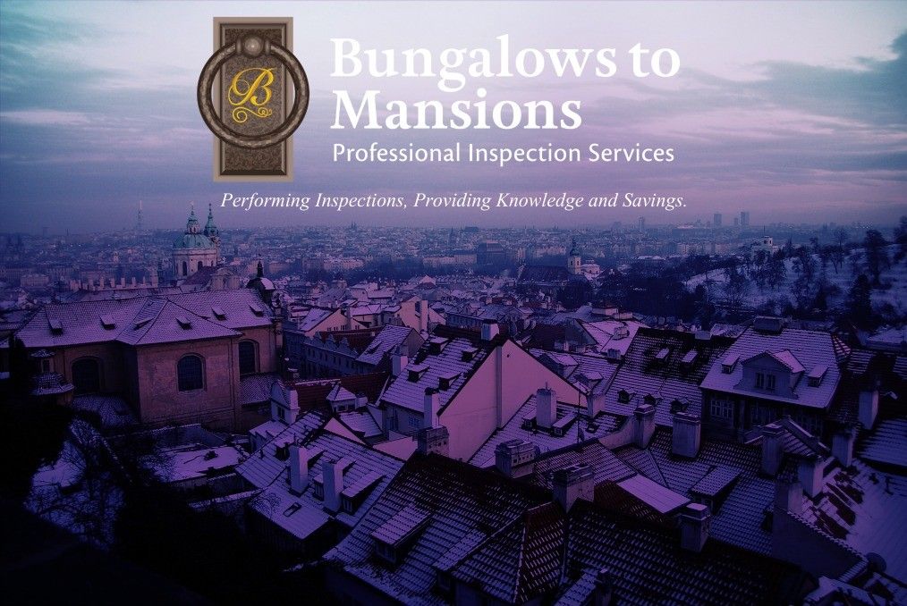 Visit Bungalows to Mansions Professional Inspection Service, LLC