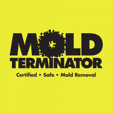 Visit Mold Terminator Inc