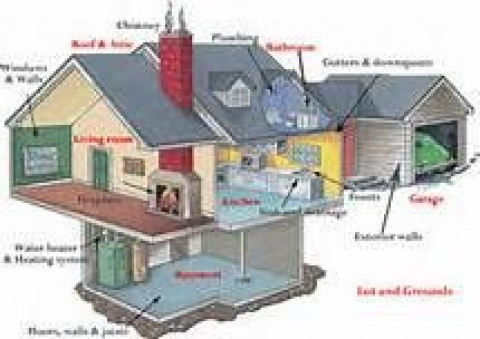 Visit Insight Inspection Services
