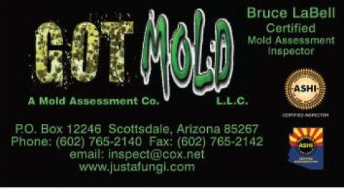 Visit Got Mold L.L.C.