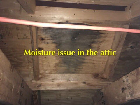 Visit Sonic Home Inspections