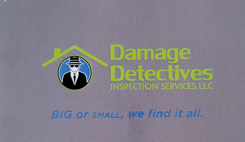 Visit Damage Detectives Inspection Services LLC