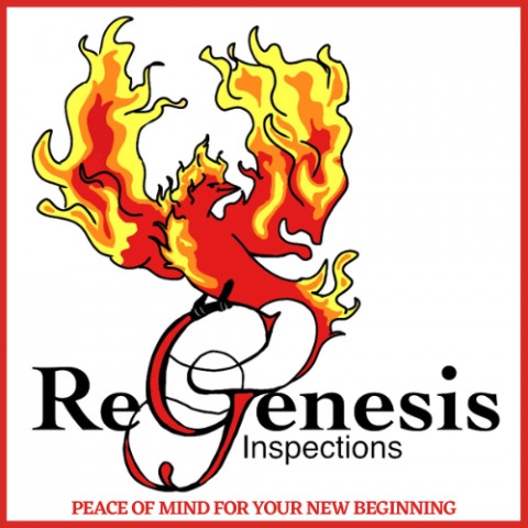 Visit ReGenesis Inspections